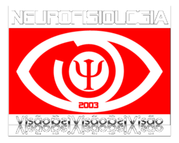 Visao Neurofisiologia 2003