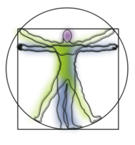 Vitruvian Man Thumbnail