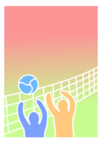 Volleyball