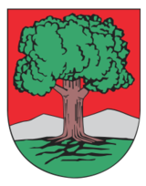 Walbrzych - coat of arms Thumbnail