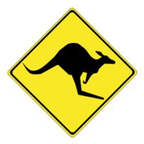 Warning kangaroos ahead