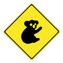 Warning koalas ahead