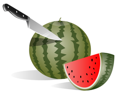 Watermelon Vector