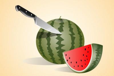 Watermelon Vector Illustration Thumbnail