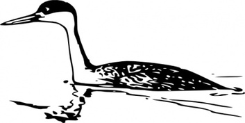 Western Grebe clip art Thumbnail