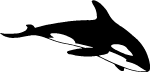 Whale Vector Image