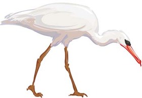 White egret vector 1 Thumbnail