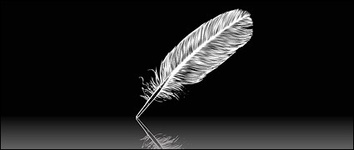 White feather vector material