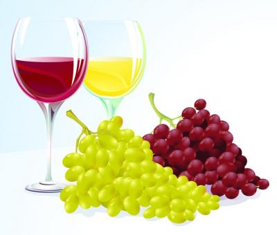 Wine With Grapes Vector Thumbnail