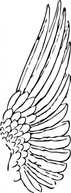 Wing clip art