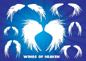 Wings of Heaven Thumbnail
