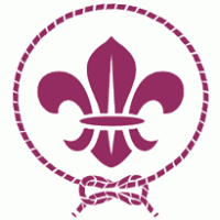 Worls Scout Movement