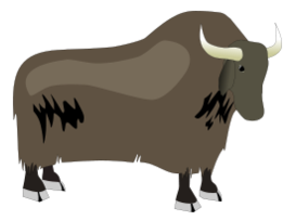 Yak