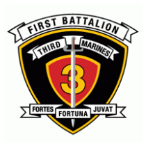 1st Battalion 3rd Marine Regiment USMC