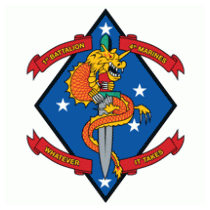 1st Battalion 4th Marine Regiment USMC