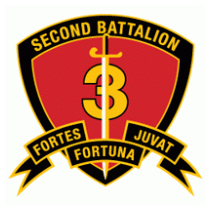 2nd Battalion 3rd Marine Regiment USMC