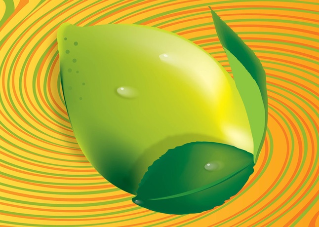 3D Lemon Vector