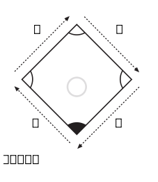 58294main_The.Brain.in.Space-page-102-navigating-without-cues-diamond-experiment