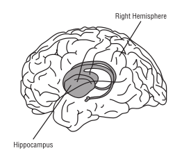 58294main_The.Brain.in.Space-page-96-brain