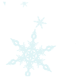 A snowflake