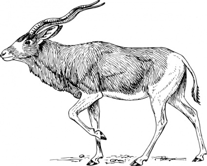 Addax clip art