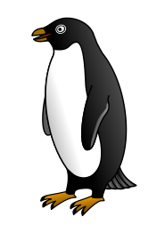 Adelie penguin