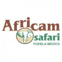 Africam Safari