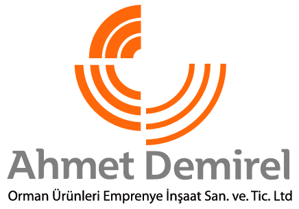 Ahmet Demirel