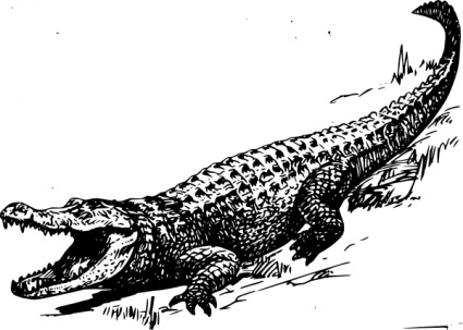 Alligator clip art