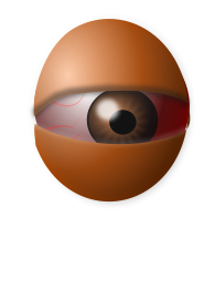 AM Eyeball Egg