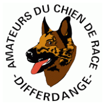 Amateurs du chien race