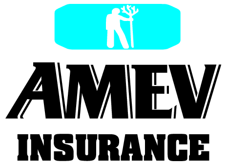 Amev Insurance