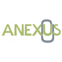 Anexus Consultoria