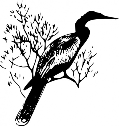 Anhinga clip art