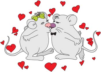 Animal in love 1