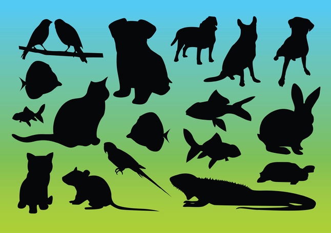 Animal Silhouettes