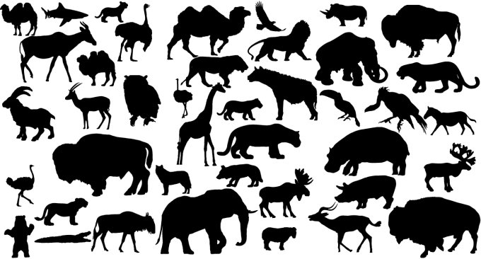 Animal silhouettes