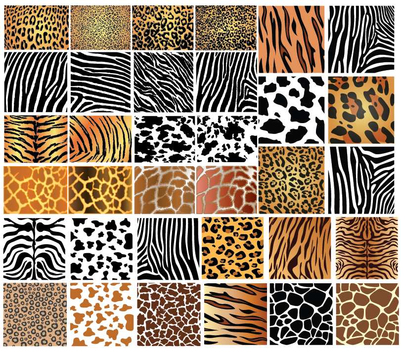 Animal Skin Patterns