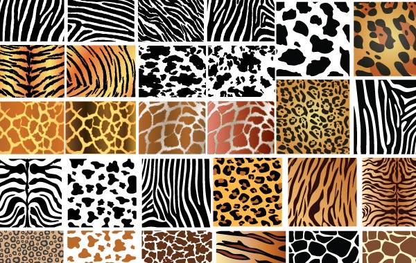 Animal Skin Patterns