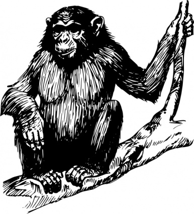 Ape clip art