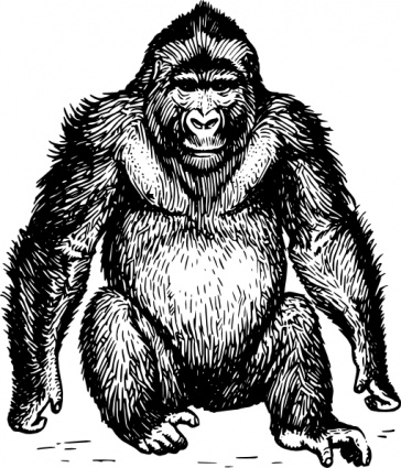 Ape clip art