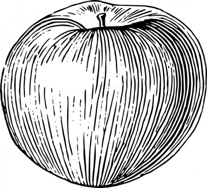 Apple clip art