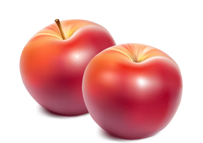 Apple Vector