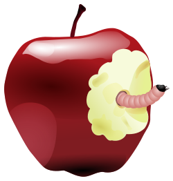 Apple With Worm Dan Ger 01r