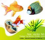 Aquarium Fish Free Vector