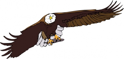 Aquila Frontale clip art