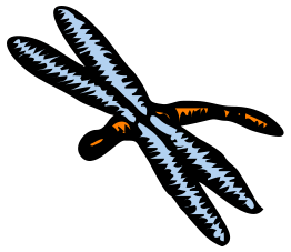 Architetto -- libellula