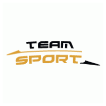 Atomic Team Sport Liner