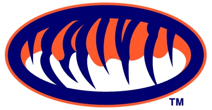 Auburn Tigers