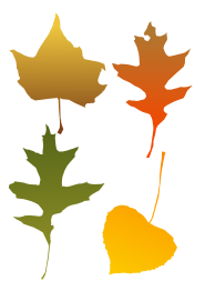 Autumn Leaf selection